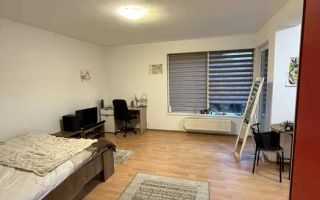 o garsoniera, Zorilor, Golden Tulip, UMF, Lidl - Poză 6