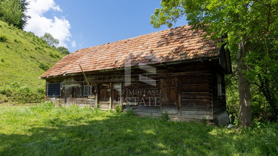 Moieciu de Jos |Teren 11.381 mp | Panoramă, potențial turistic - Poză 4