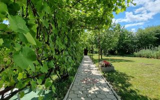 CASA+TEREN, ZONA SUD - Poză 15