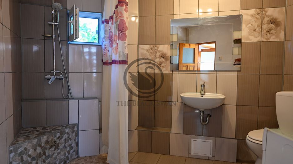 Casa de vanzare | 1.048 Mp teren | Romanesti - Poză 19