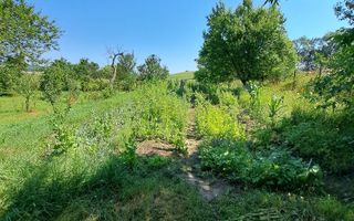 Casă individuală 2 camere | Cornățel | curte 633 mp, șură - Poză 5
