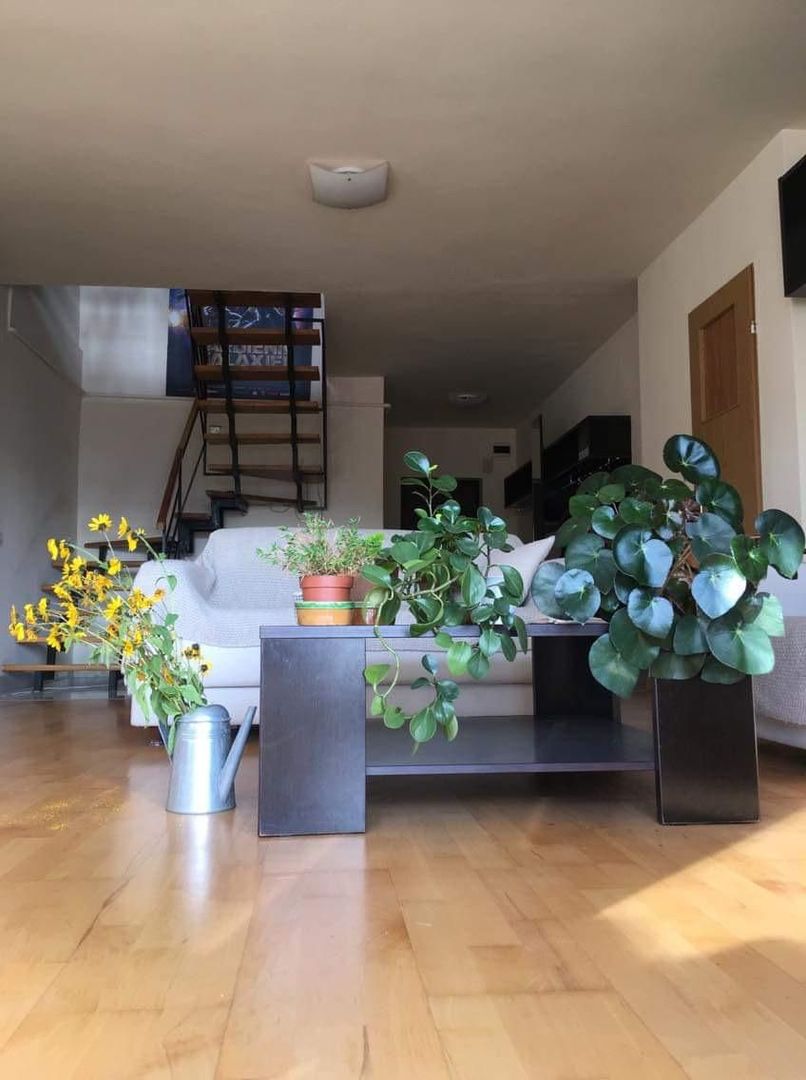 Apartament 4 camere de inchiriat Manastur zona Campului - Poză 8