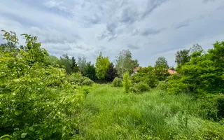 Vila cu 5 camere *616mp* / 1600mp teren / Corbeanca - Poză 37