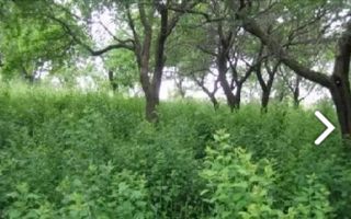 TEREN INTRAVILAN 3100 MP, VALEA MARE PRAVAT, ARGES - Poză 2