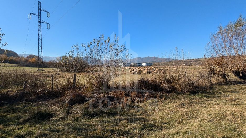 Teren extravilan in Tropinii Noi (Rasinari)-2592 mp - Poză 6
