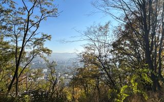 Comision 0%! Vanzare teren in Grigorescu, strada Nicolae Patrascu! - Poză 3