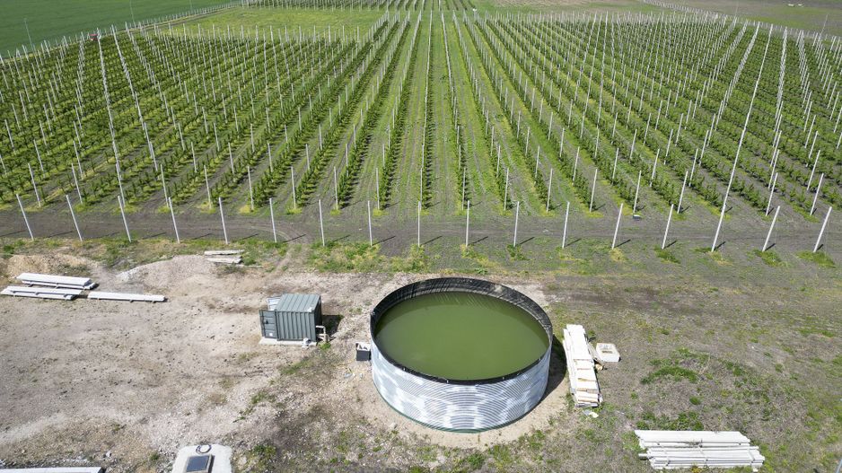 Oportunitate investiție: Livadă de Cireși și Hală - Poză 8