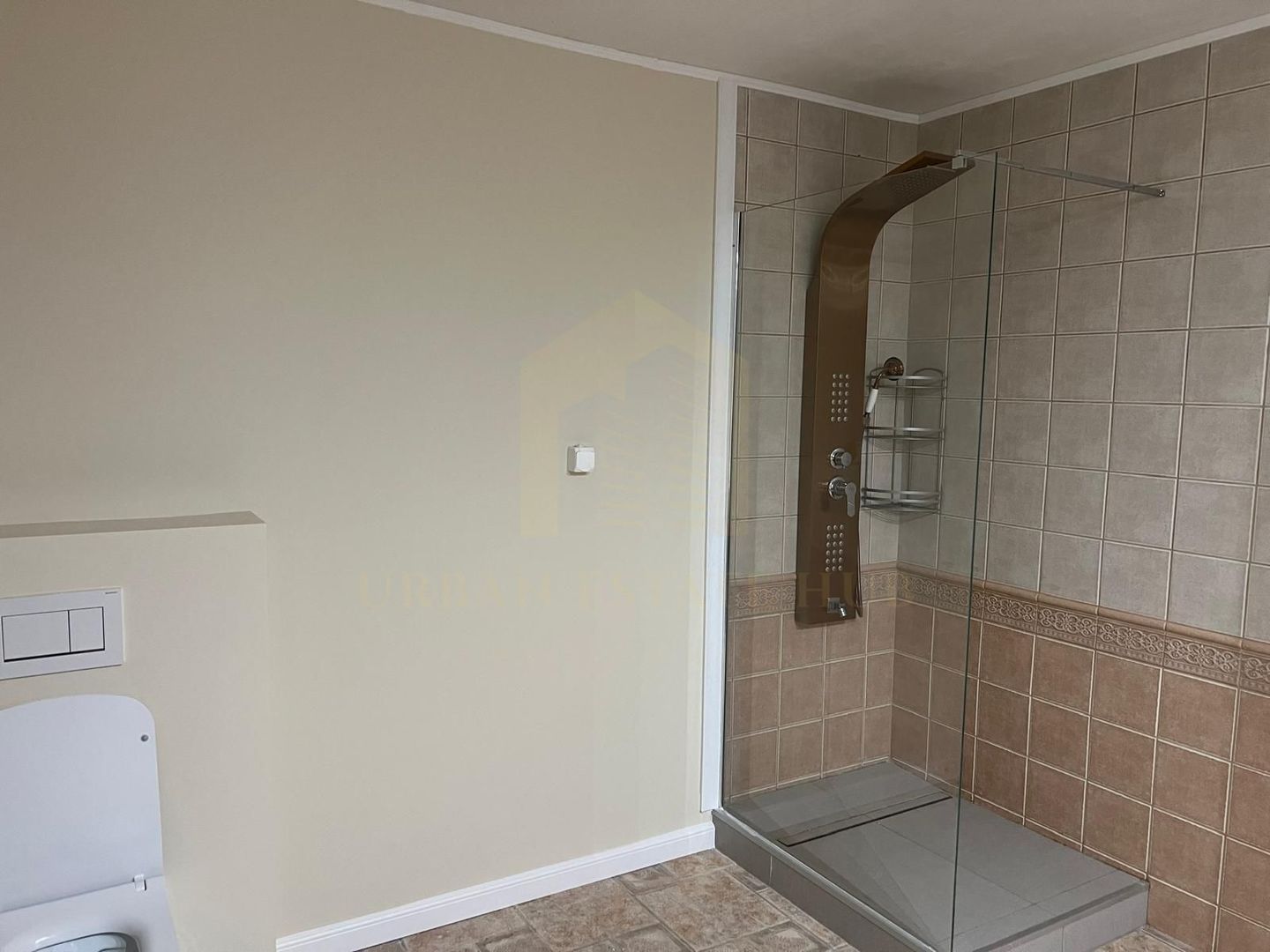 Închiriere casa individuala, 390 mp, teren 800, Gruia - Poză 23