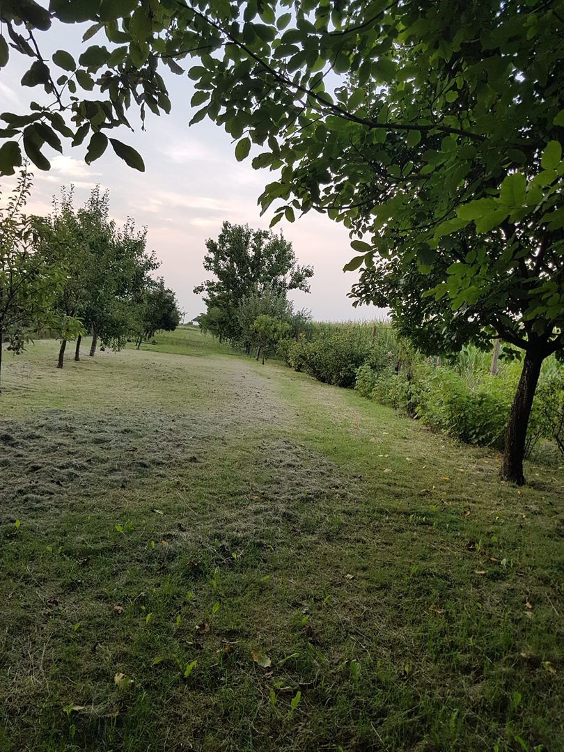 BRASADAS vinde casa individuala in zona Aurel Vlaicu. - Poză 23
