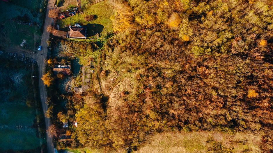 Teren intravilan Cladova - Poză 2