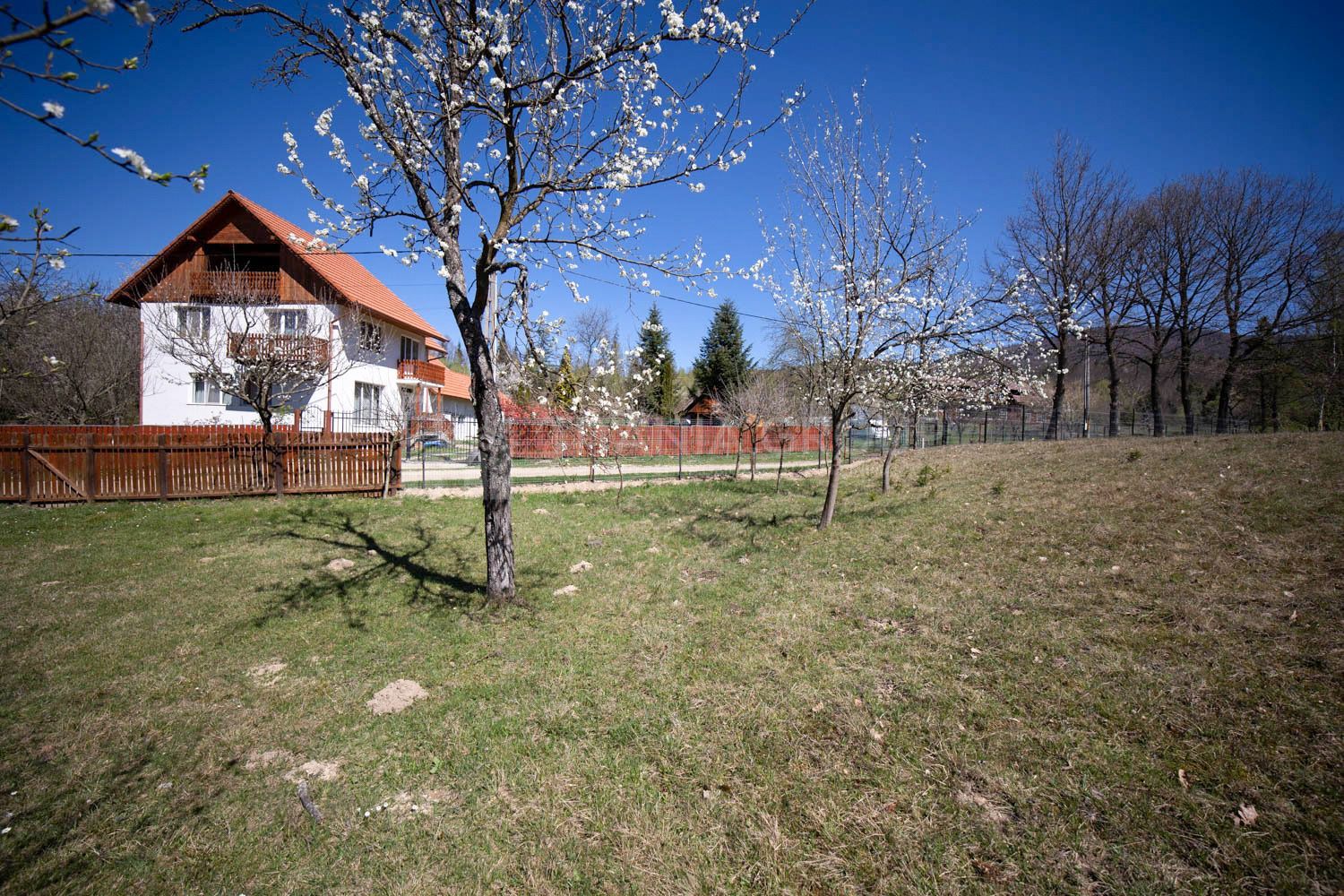 Teren intravilan, pretabil pentru casa de vacanta, 2000 mp - Poză 16