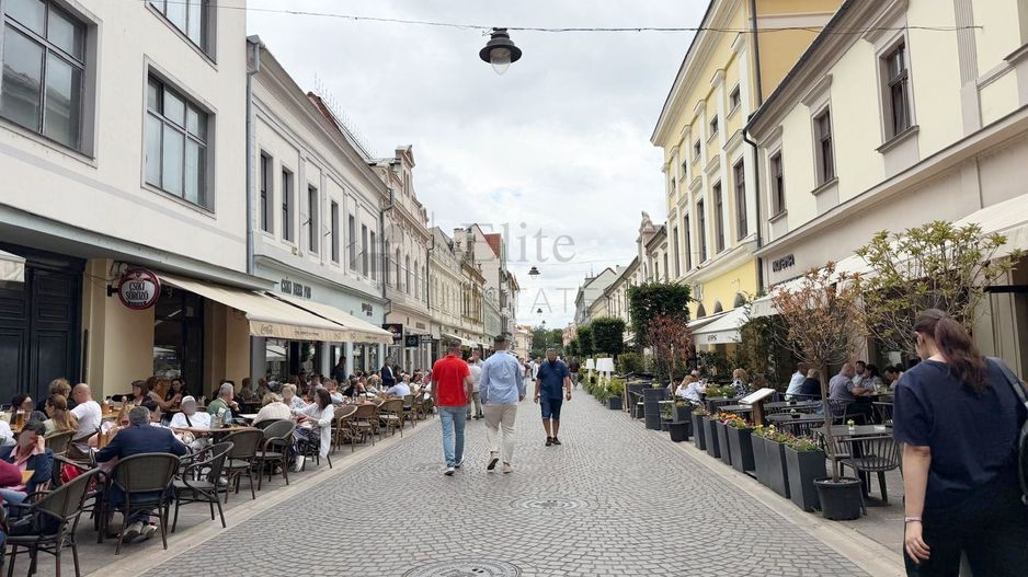 Spatiu Comercial Pietonala Vasile Alecsandri | 200 mp | Vitrina ampla - Poză 1