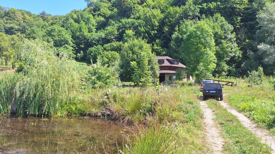 VANZARE ANSAMBLU CASUTE BRADULET ARGES - Poză 22