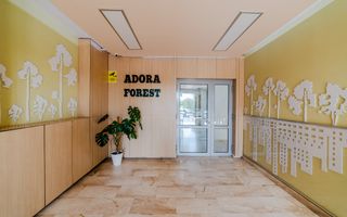 Priveliste superba spre padure  | 2 camere | et10/11 | Adora Forest - Poză 17