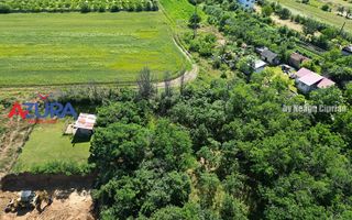 Teren pentru vile in centrul orasului Costesti, 3000 mp - Poză 12