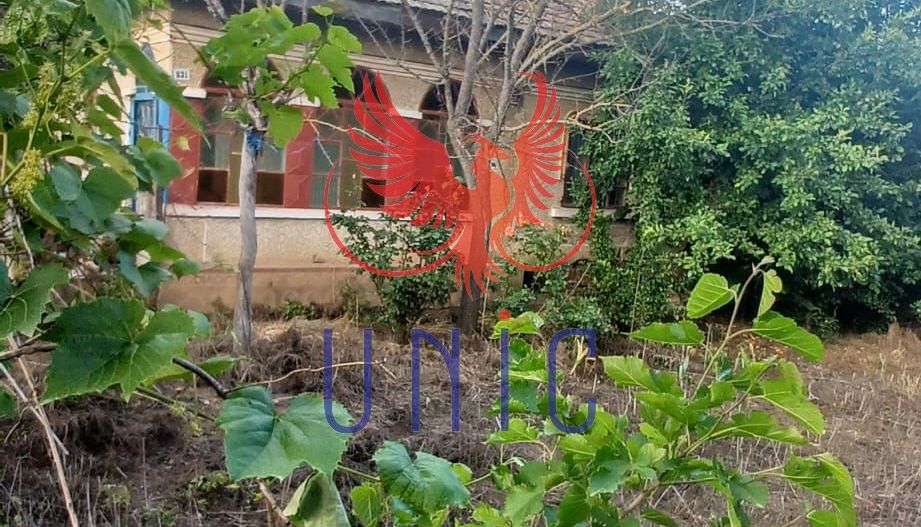 Casa cu teren de 1969 mp - Amarastii de Jos - Poză 1