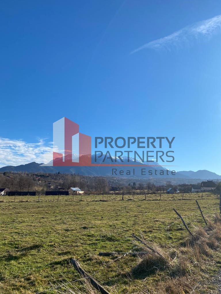 Teren Sohodol 10.000 mp - Poză 2