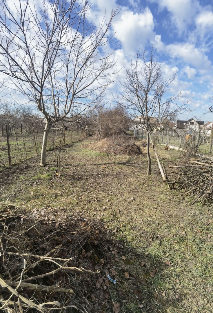 Casa cu teren generos- Recas - Poză 9