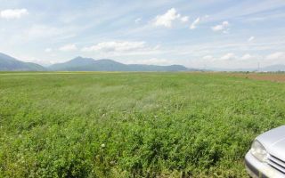 Teren la DN Brașov-Tărlungeni - Poză 10