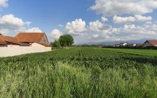 teren intravilan 700mp str. Fagurului, Stupini - Poză 5