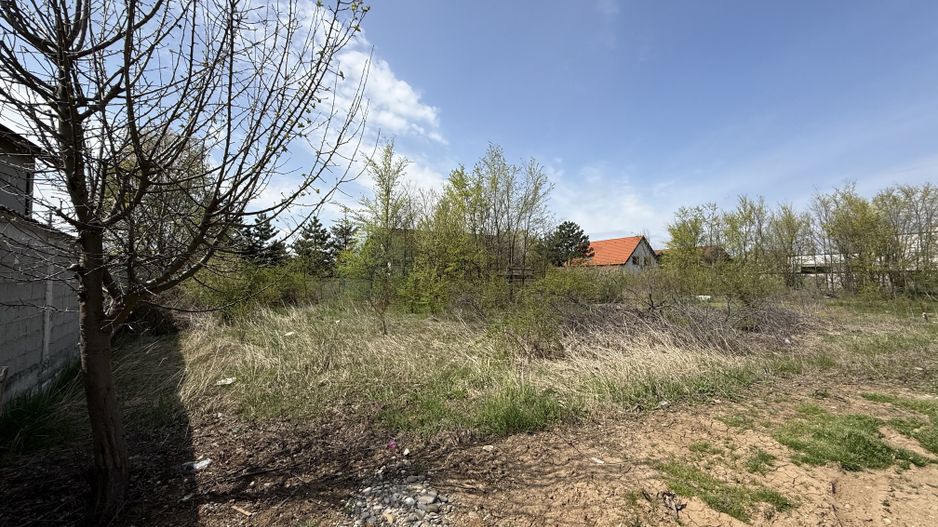 Teren 590 mp | Corbeanca, str Laguna Albastra - Poză 6