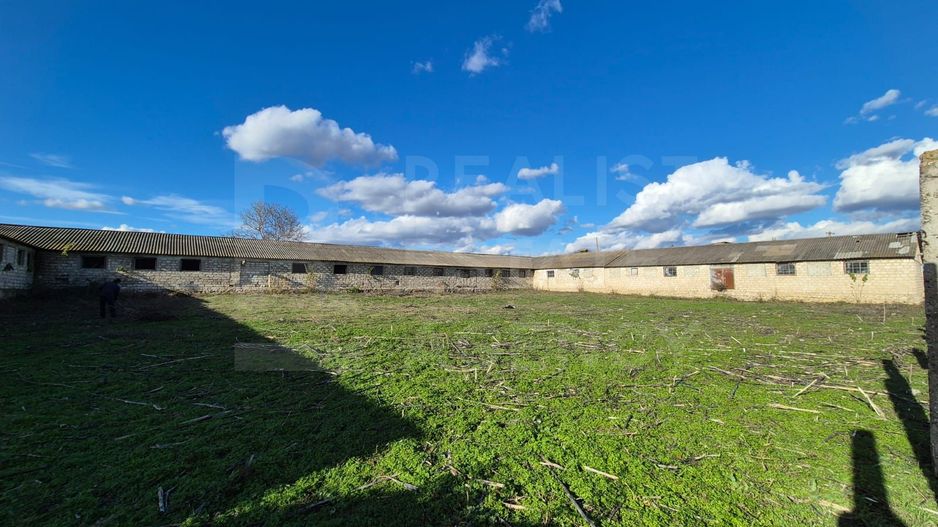 Teren 74 ari + clădire 1.765 mp– Răuțel, Fălești - Poză 8
