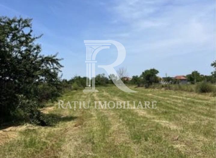 Teren cu proiect de casa | Sititelec | Bihor - Poză 2