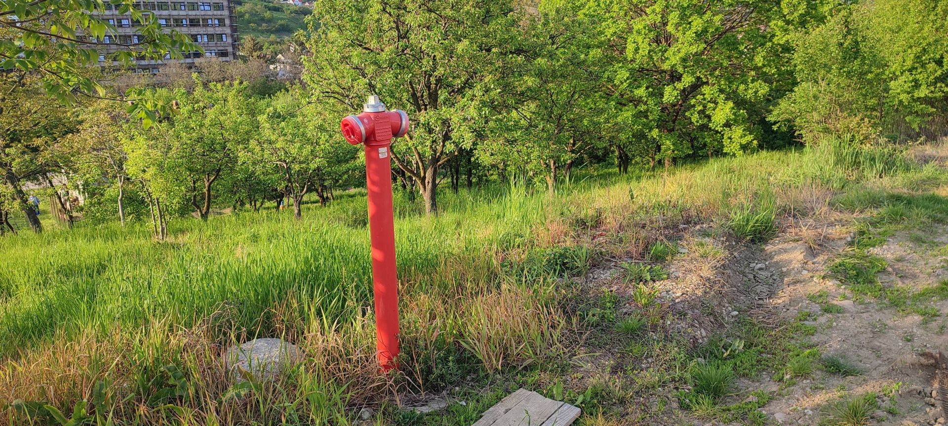 teren Spitalul Judetean - Poză 3