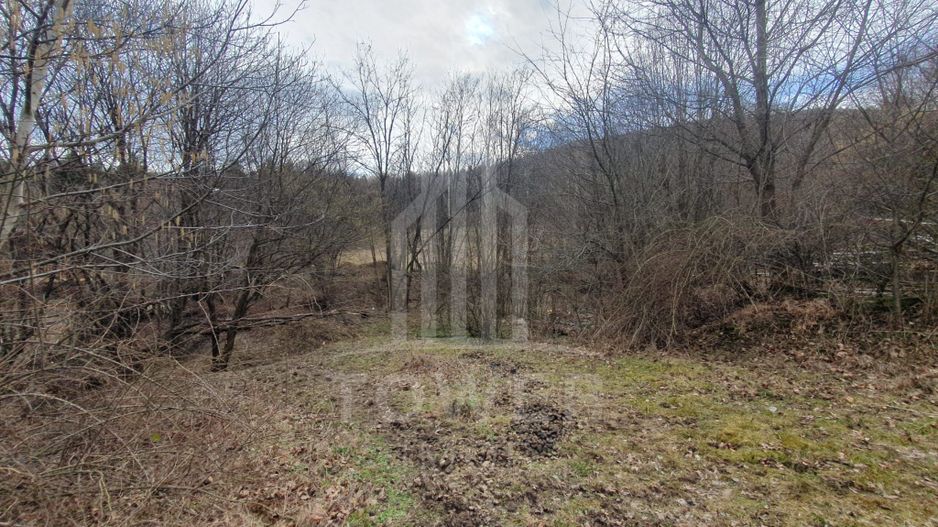 Teren Intravilan 2.938 mp | Tocile - Poză 11