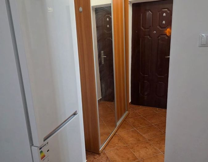 BRASADAS inchiriaza gars PARTER Mihai Bravu, Kaufland. - Poză 14