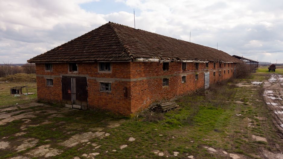 Fermă cu teren intravilan de 35000 mp în Mișca - Poză 19