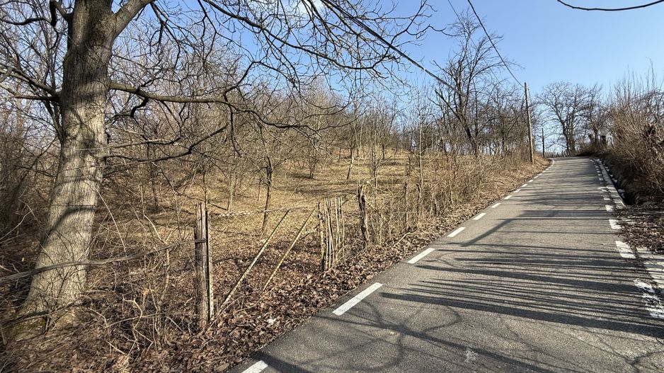 Teren intravilan 2788 mp deschidere 55 ml cu vedere panoramica ! - Poză 12