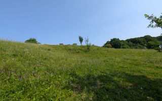 Oportunitate! Teren 500 mp extravilan, 1.4 km de centru, zona str Jelnei - Poză 3