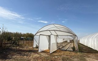 Teren intravilan agricol | 7029 mp | Satu Nou | Bihor - Poză 7