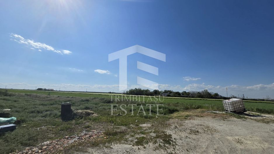 OVIDIU-POIANA- Vila tip duplex | terasa circulabila | gaz | curte - Poză 31