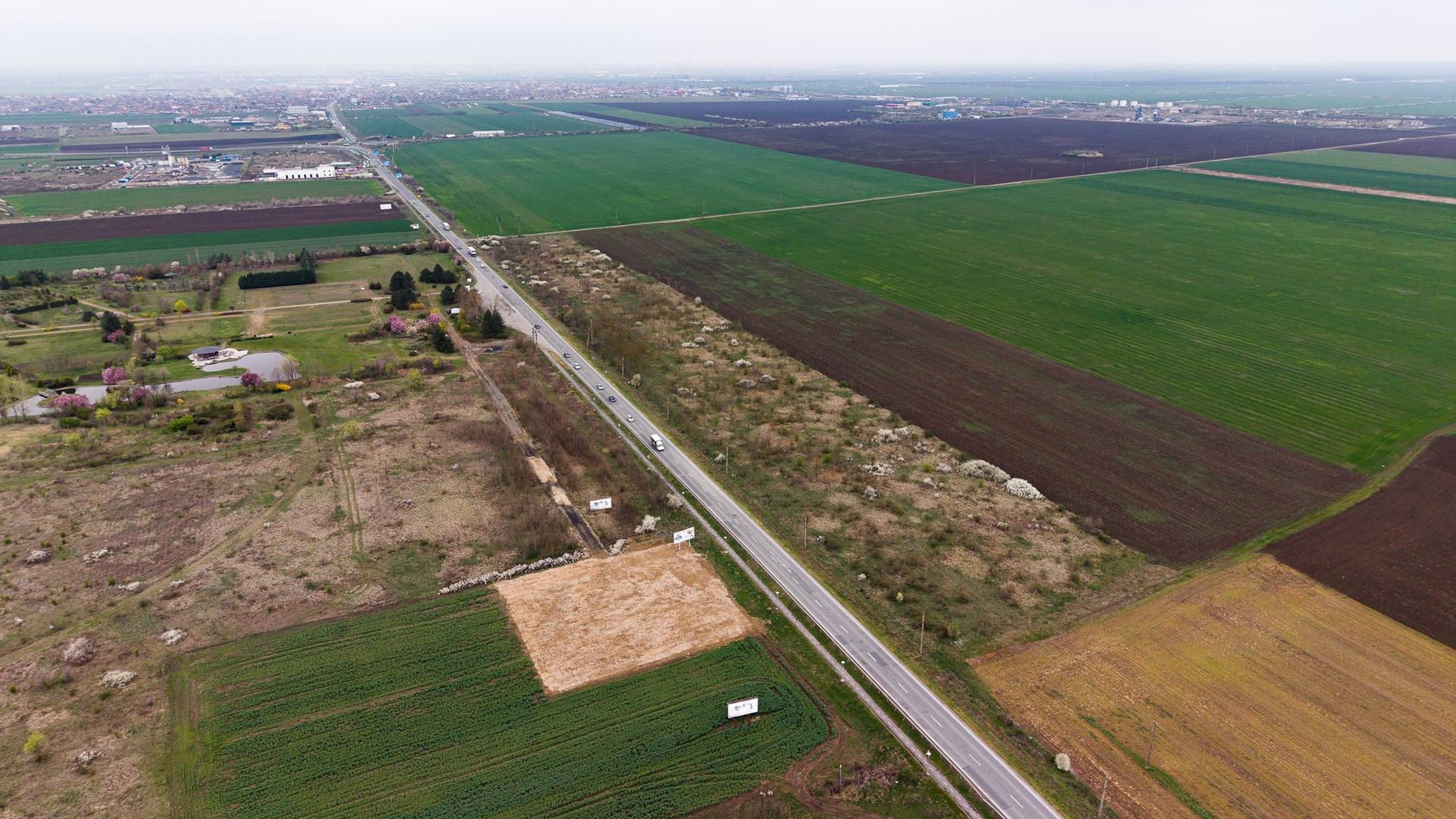 Teren de 41800 mp ieșire Vladimirescu - Poză 5