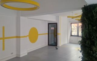 Vila P+2, suprafata 380 mp, Principatele Unite, Piata Unirii - Poză 12