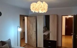 Apartament 2 camere de vânzare – Zona Gorjului - Poză 7
