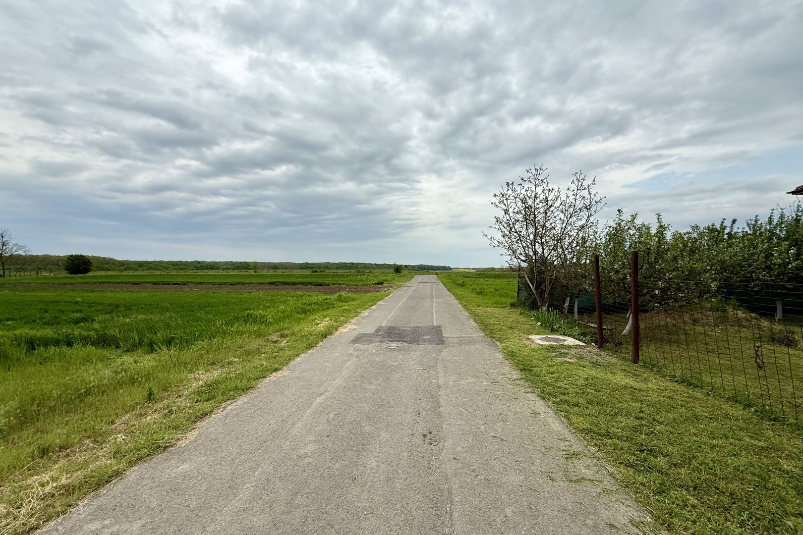 Teren intravilan de 1000 mp în Grădiștea, Ilfov – ideal pentru casa ta - Poză 5