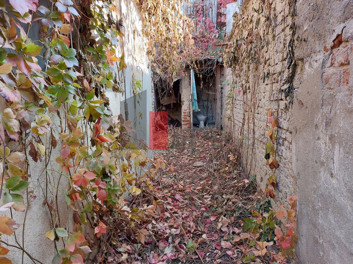 Casa "SARRERA" singur curte, multiple posibilitati, birou/comercial/rezidential - Poză 8