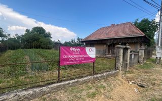 GRADINA BUNICII DE ODINIOARA,DE VANZARE -PAPAUTI,COVASNA. - Poză 6
