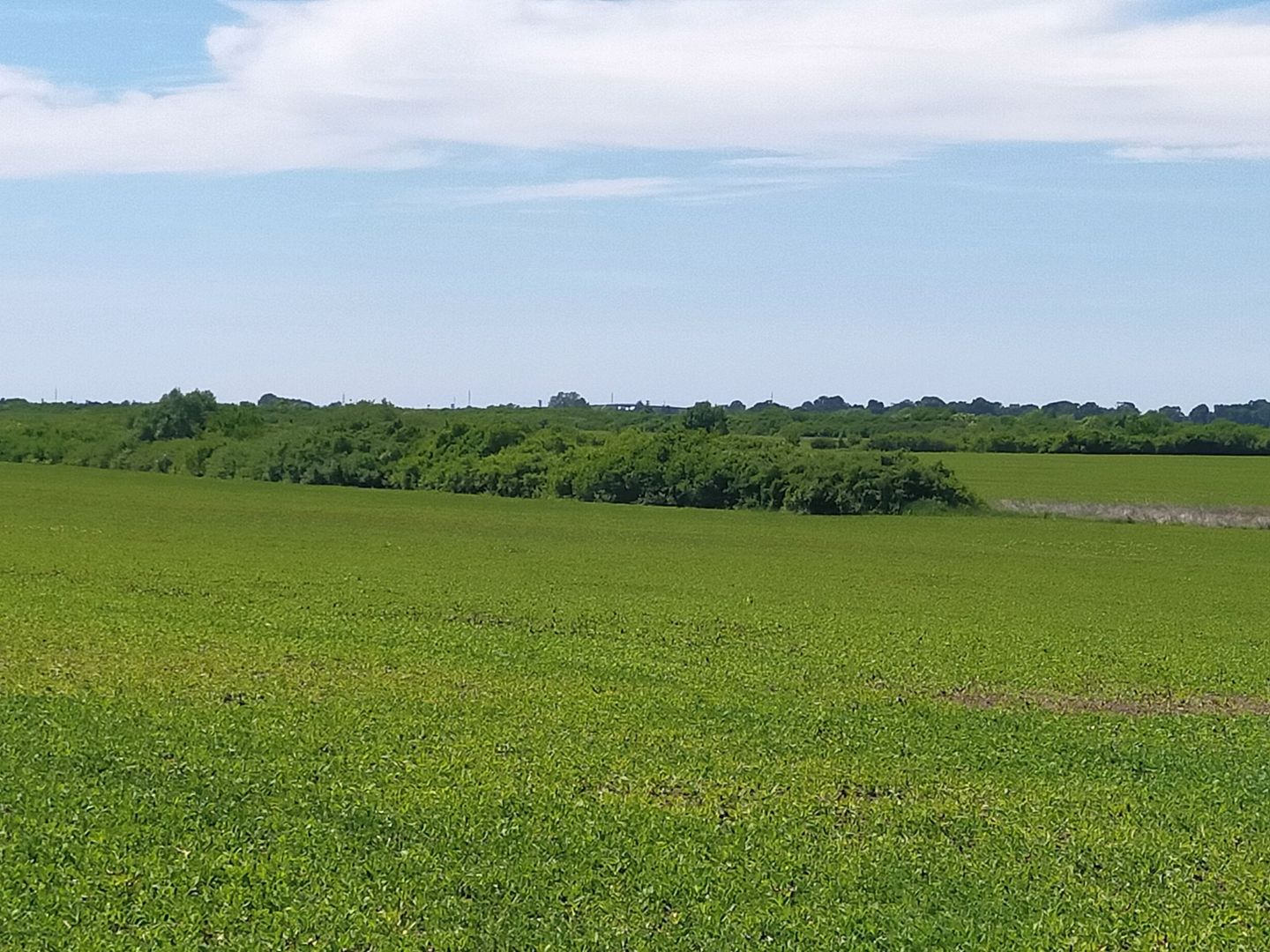 TEREN IDEAL PENTRU INVESTITII GIARMATA-PISCHIA - Poză 2