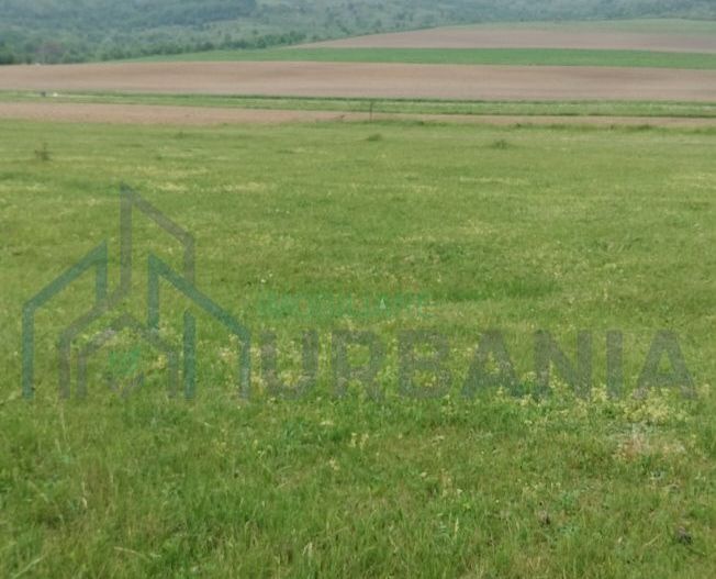 Teren intravilan 7.200 m2, Bordea, Grajduri, ideal case/ investitie - Poză 7