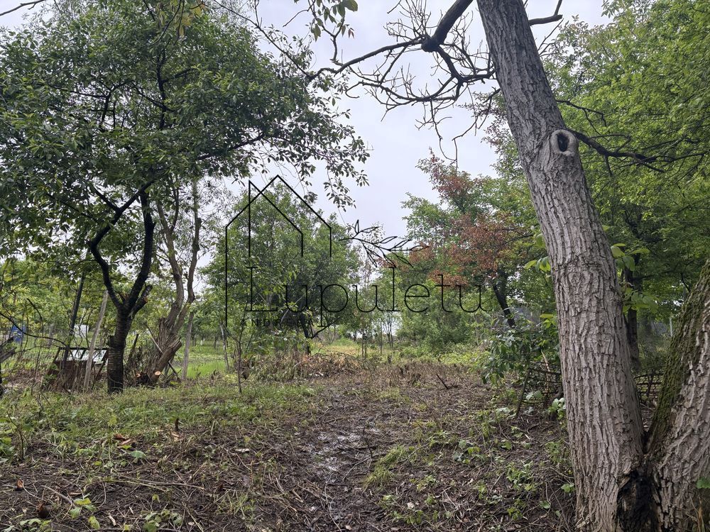 Casă de Vânzare în Bungard | 150 MPU | 2 Corpuri de Clădire - Poză 14