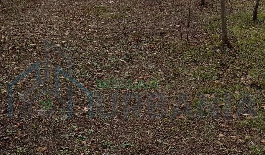 Casă nelocuibila cu teren Sculeni! - Poză 2