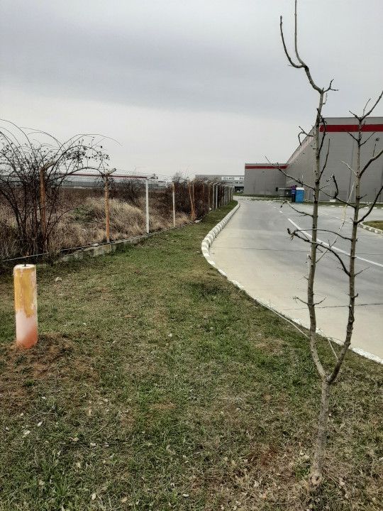 Teren, zona industriala, in Domnesti. Tarlaua 7, depozitele Logistics Park, A1 - Poză 8