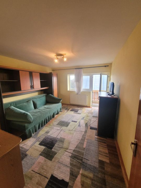 Inchiriere Vila Pitesti, Prundu Mic - Poză 19