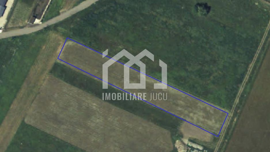 Teren Intravilan 3800 mp - pentru Parcelare și Dezvoltare Imobiliară - Poză 1