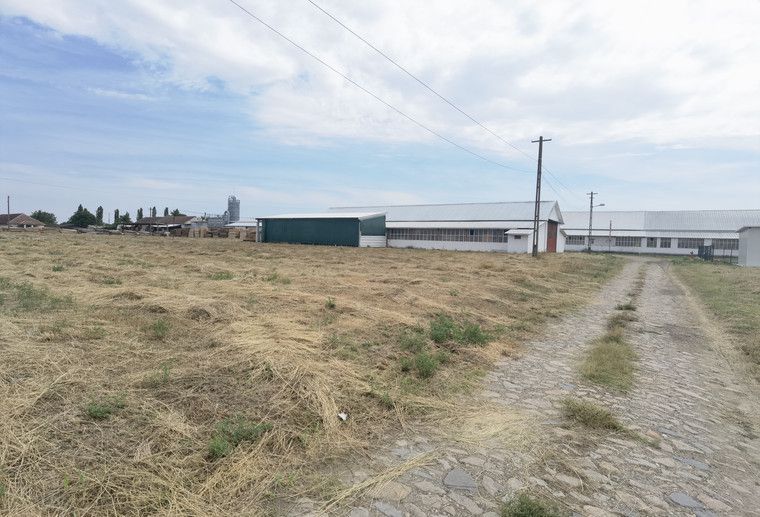 Proprietate industriala la 30 km exterior sud Timisoara - Poză 26