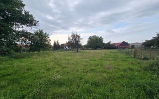 Casă 3 camere | Arpașu de Jos | 120 mp utili, teren 2600 mp, DN1 - Poză 3